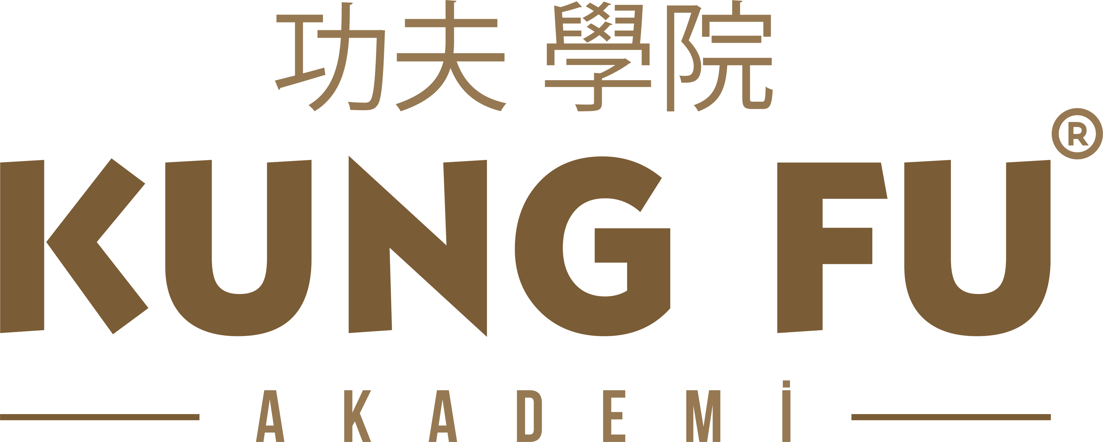 KUNG FU AKADEMİ